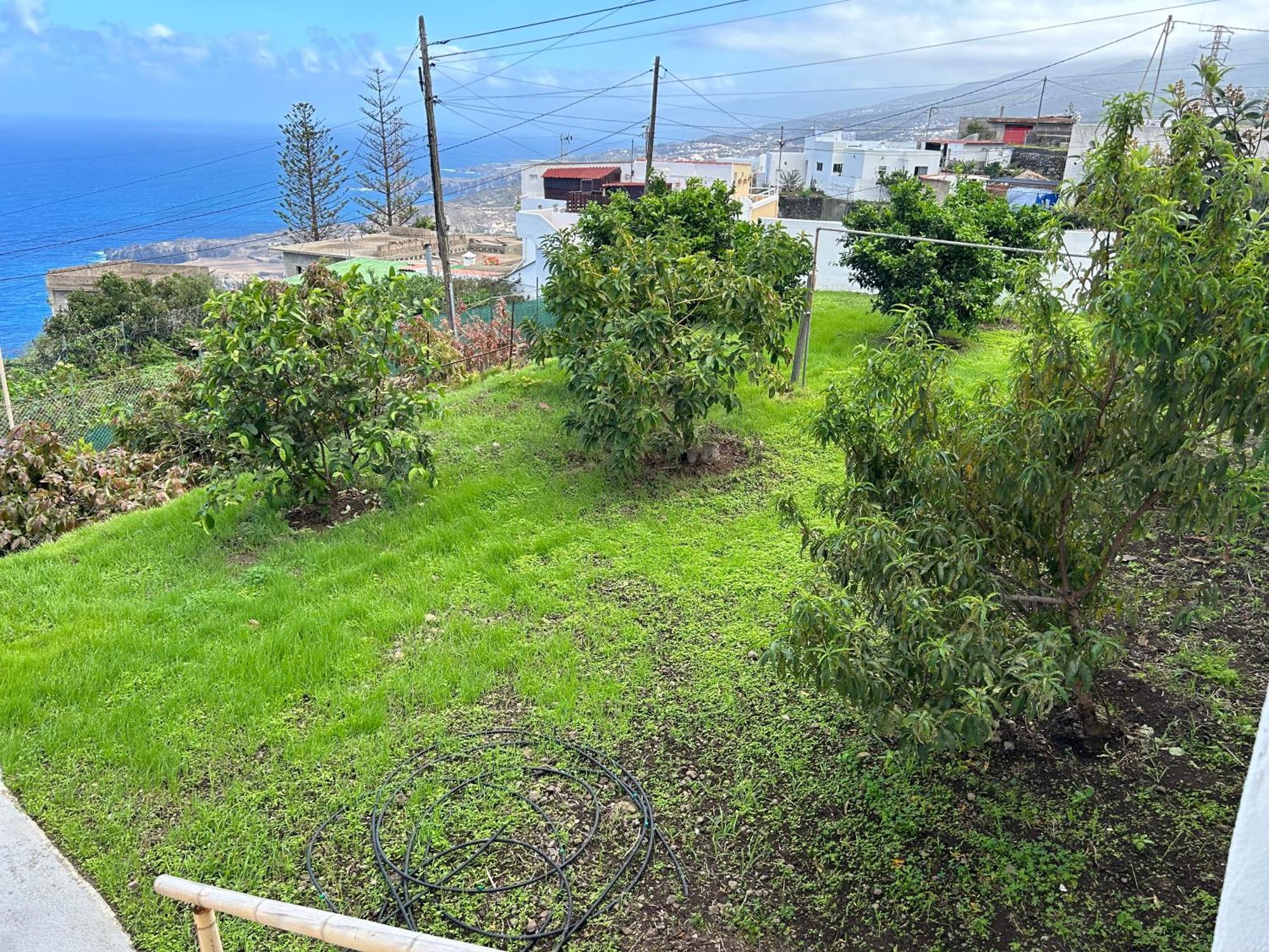 Casa La Oliva Garachico (Tenerife) Exterior foto
